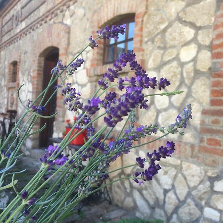 Levendula Porta Es Pajtaszinhaz Hotel Orfu Exterior photo