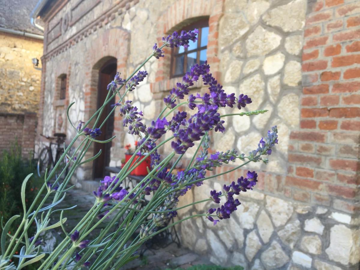 Levendula Porta Es Pajtaszinhaz Hotel Orfu Exterior photo
